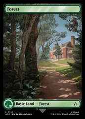 (110) Forest - FULL ART Land